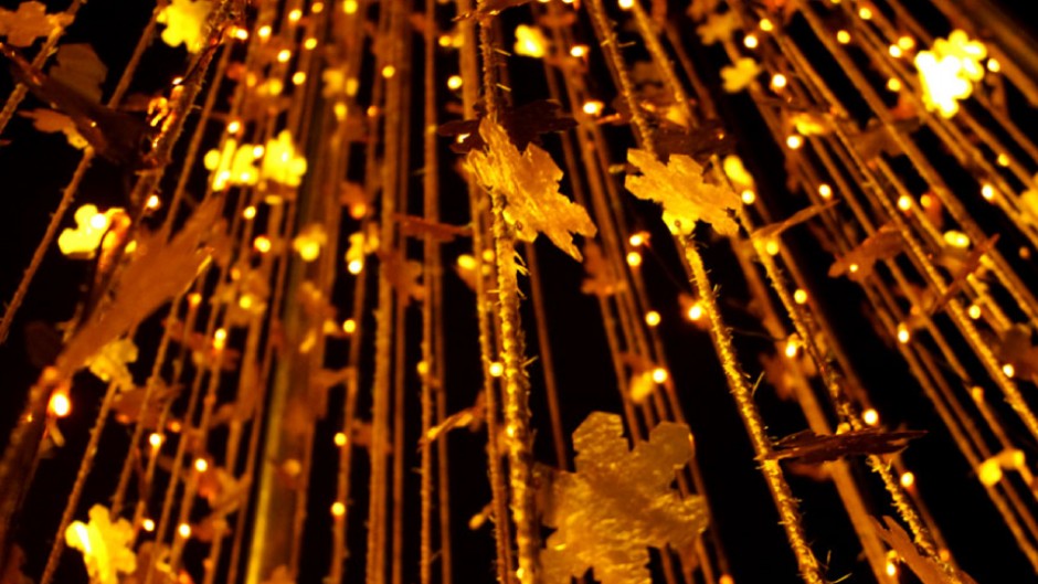 豪華!!金沢の冬に輝く金箔ツリーは冬の風物詩