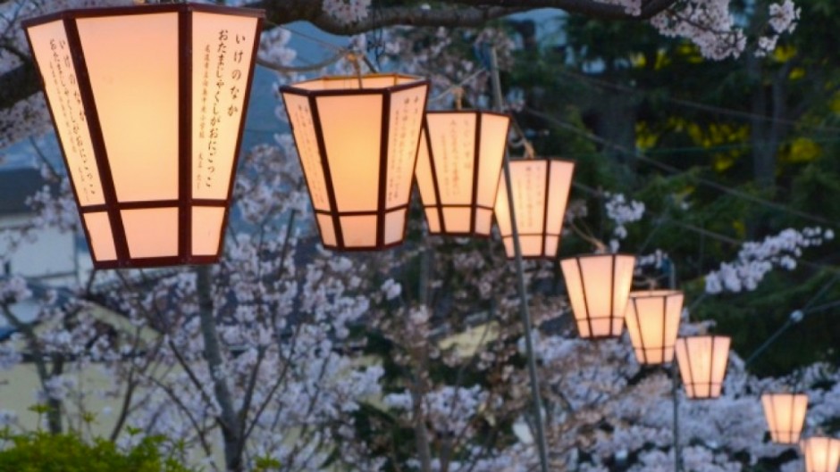 尾道文学と絶景の桜で春を愉しむ。