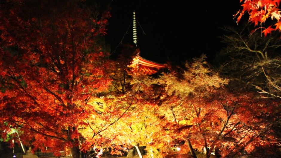 日本三大名月鑑賞池で月夜を愉しむ。京都・大覚寺「観月の夕べ」