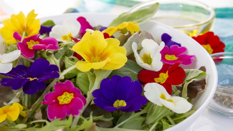 花を食べる、エディブルフラワー業界のパイオニアが集結！