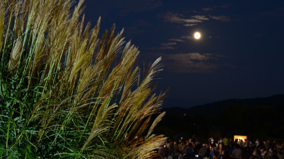 十五夜限定！日本三名園「岡山後楽園」の”名月観賞会”