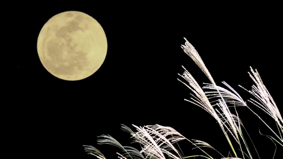 江戸時代から続く十五夜の伝統行事 向島百花園「月見の会」