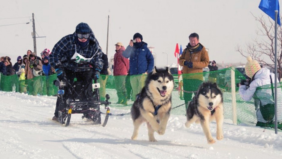 ワンちゃんたちが雪原を駆け抜ける！日本最北の地「稚内」で迫力の犬ぞりレース！