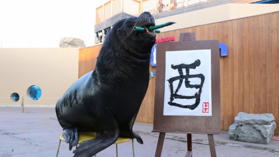 海の動物達もお正月には大ハッスル！八景島シーパラダイスの新春パラダイス！