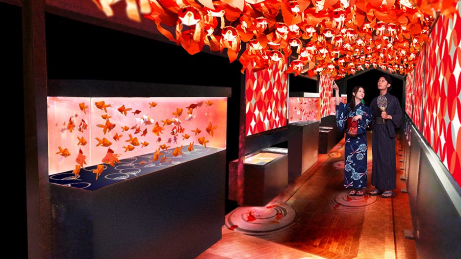 幻想的なアクアリウムの夏まつり♡すみだ水族館で『東京金魚ワンダーランド』が開催中