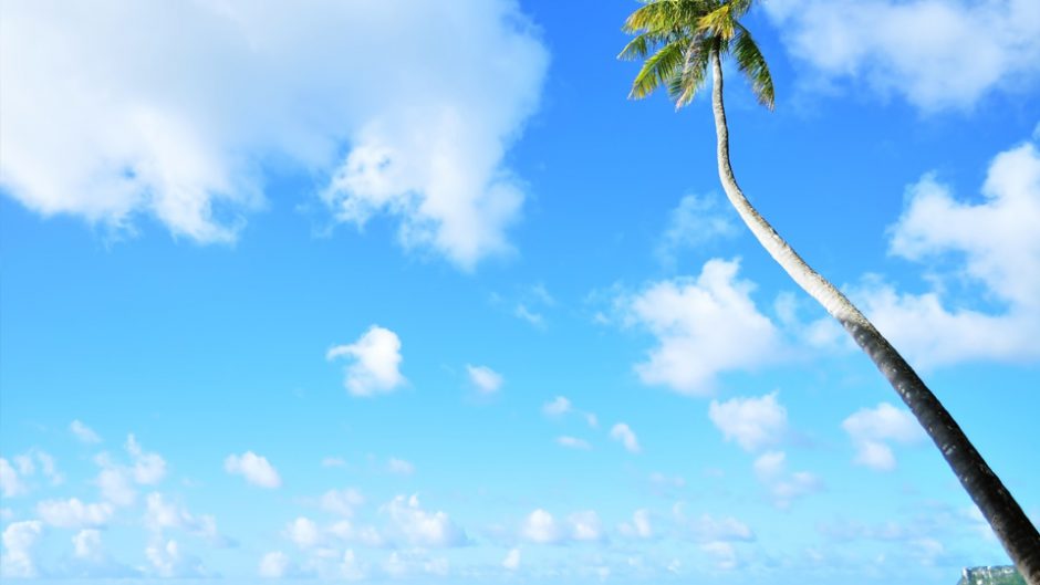 アタミアロハフェスティバル2017が開催！青い海と太陽、星空の下でハワイアンを楽しもう