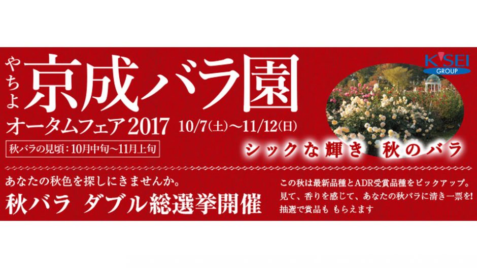 バラに包まれる幸せ！京成バラ園で「秋のバラフェア2017」が今秋も開催