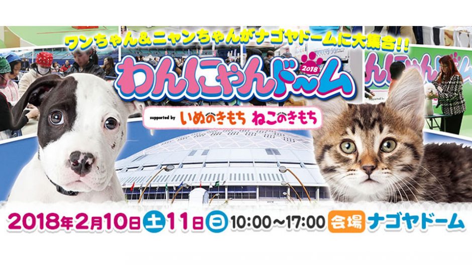 ナゴヤドームで毎年恒例ペットイベント「わんにゃんドーム2018」開催！