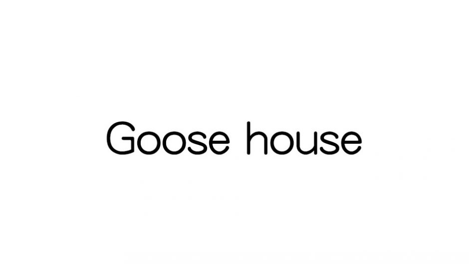 YouTube発のアーティスト Goose house Live Tour 2018 Flight
