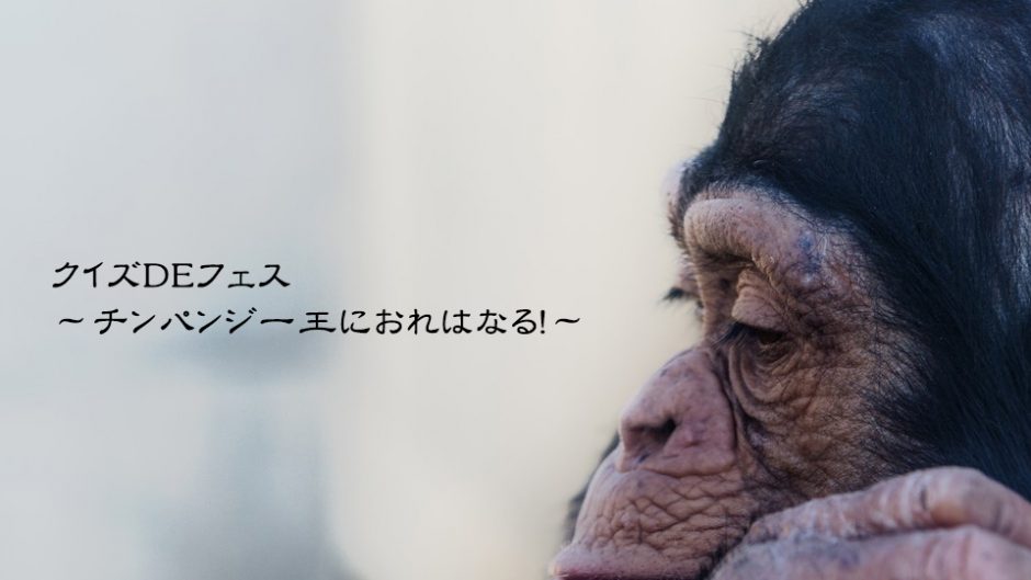チンパンジーフェスティバル2018が日本モンキーセンターで開催中！