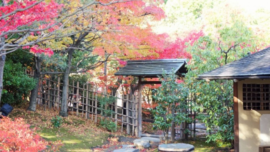 白鳥庭園で中秋の名月を堪能する 「白鳥庭園　観月茶会」