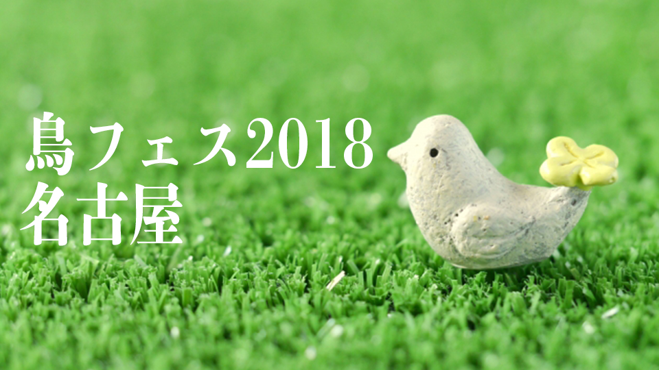 鳥フェス2018in名古屋