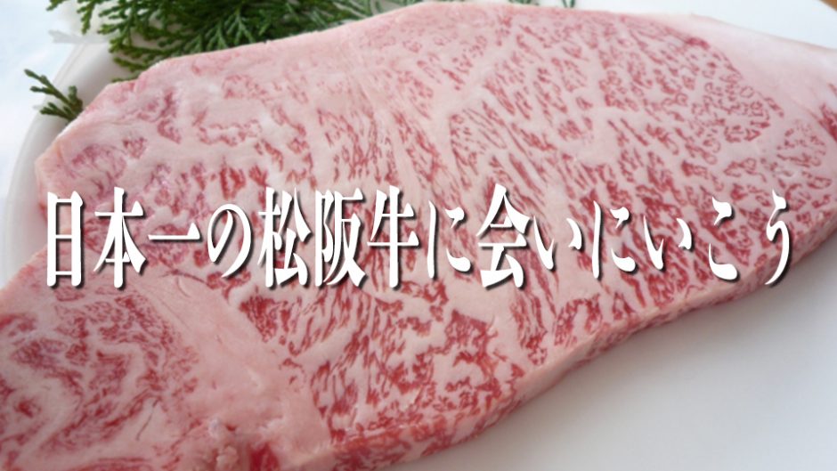 松阪牛まつりと第69回松阪肉牛共進会が開催！日本一の松阪牛が決定する！
