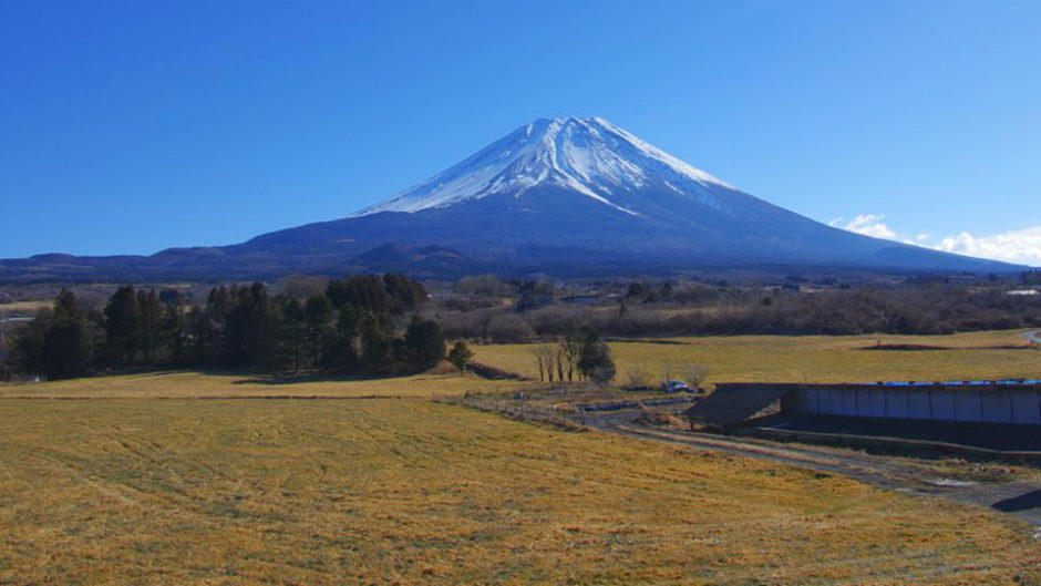 秋の収穫祭 & ハロウィンイベント「まかいの牧場　第3回 マルシェ富士山」