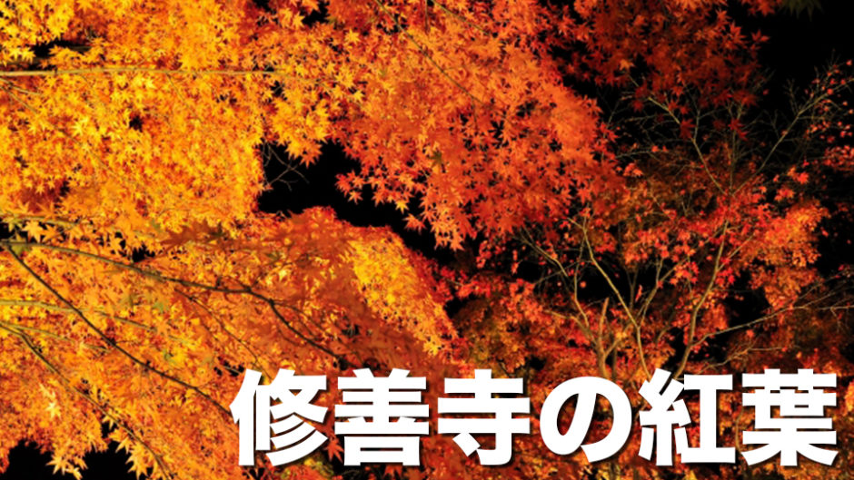 静岡県最強の紅葉！修善寺もみじまつり2018  紅葉と一緒に温泉も楽しんじゃおう