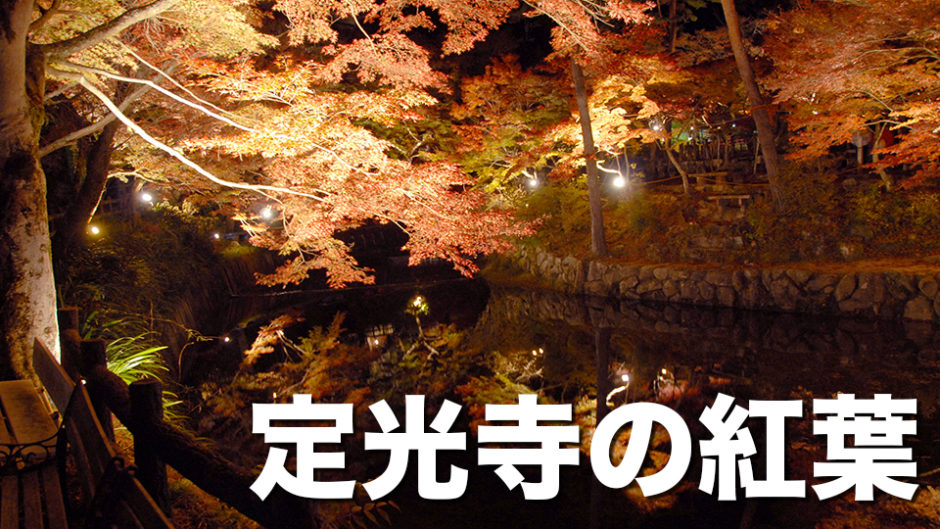 名古屋市から最も近い？岩屋堂・定光寺もみじまつりが開催！ライトアップされた紅葉はデートに最適！