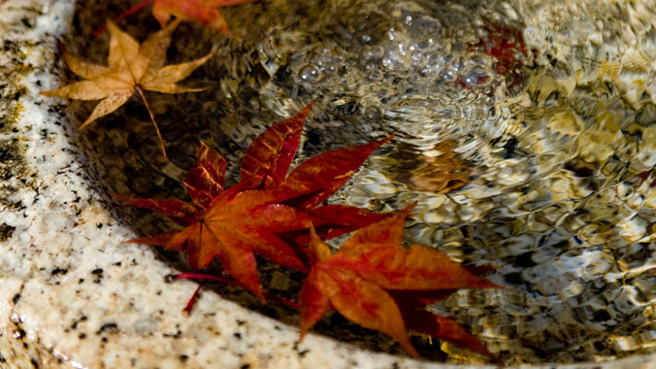下呂温泉・温泉寺の紅葉ライトアップ 足湯とグルメを堪能しよう！