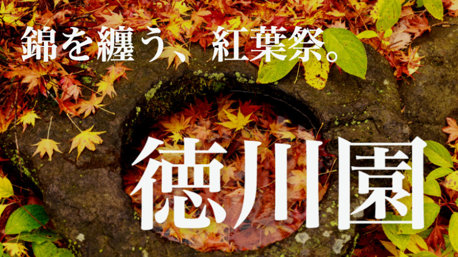 秋の徳川園で紅葉祭を開催　幻想的な日本庭園のライトアップ　