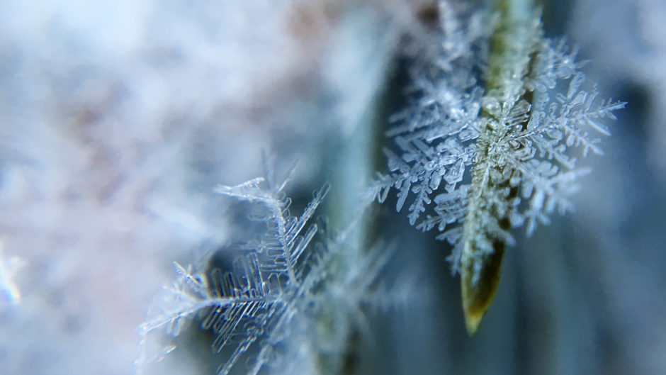幻想的な氷の美しさをその目で見よう！『氷点下の森』が岐阜県高山市に登場