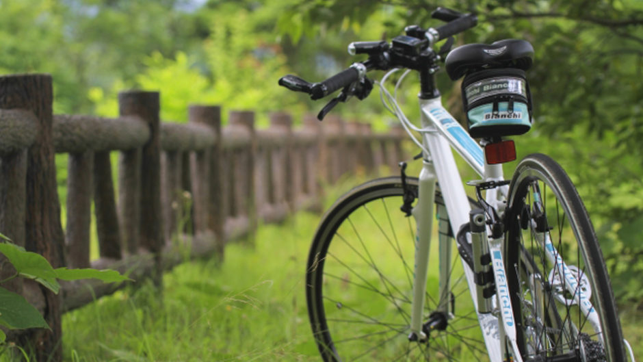 森林公園で交通安全啓発型サイクリング！自転車で植物園を走ろう！