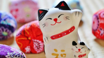 短時間で古き良き日本を楽しむ!『CHITA CAT OMOTENASHI TOUR』が開催