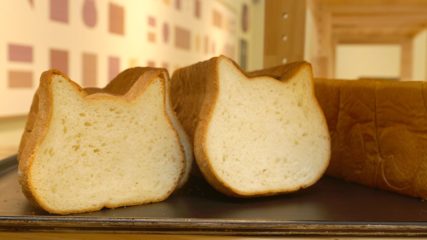 オアシスパークに高級食パン専門店「ねこねこ食パン」が7/10に新オープン!!
