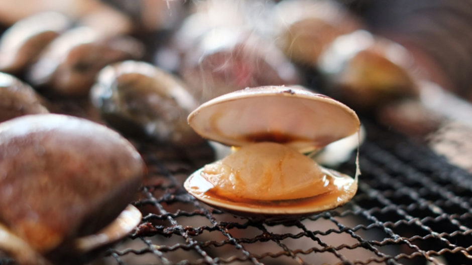 ぷりっぷりの絶品ハマグリを食べよう！『第20回　赤須賀漁業まつり』が開催