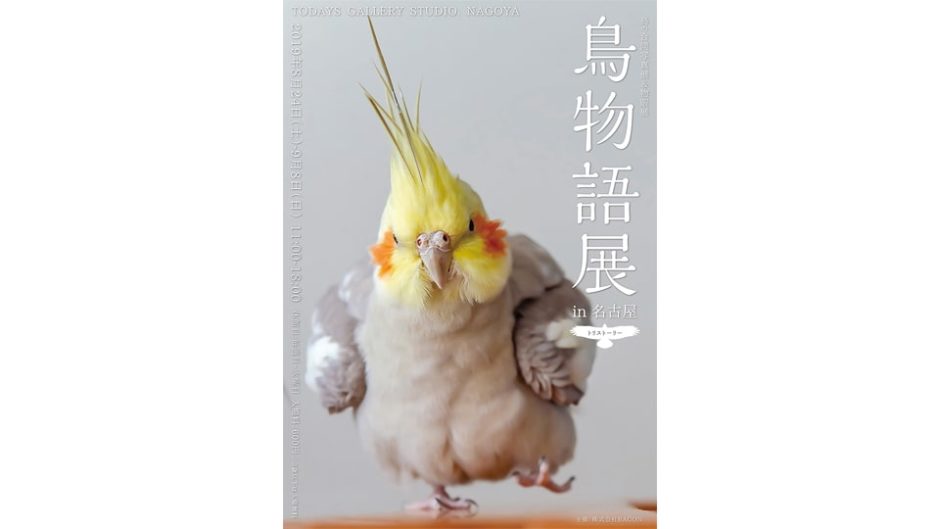 鳥の合同写真＆物販展「鳥物語トリストーリー展」の最新作が名古屋にやってくる！