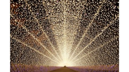 なばなの里イルミネーション2020-2021 おすすめスポットをご紹介!