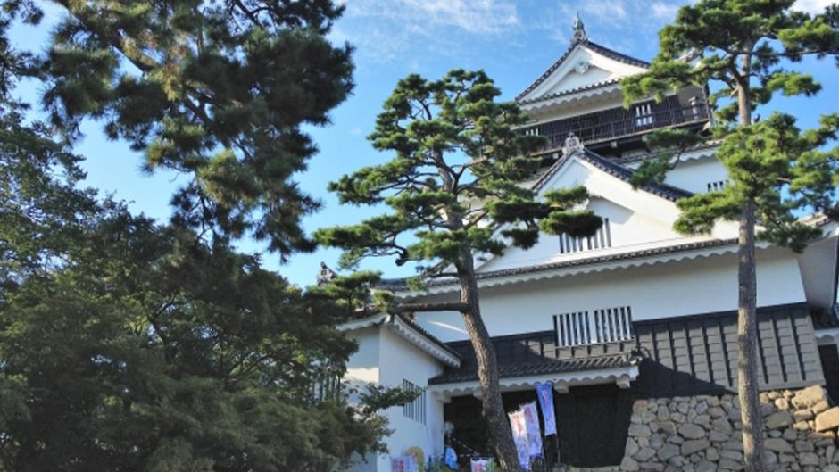 岡崎公園を中心に幅広いエリアで開催する「岡崎城下家康公秋まつり」