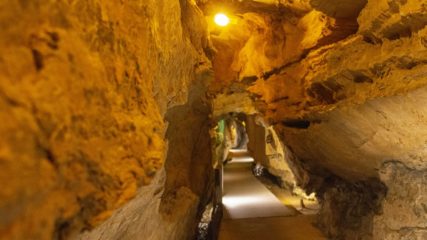 東海エリア最大級の規模を誇る観光鍾乳洞「竜ヶ岩洞」