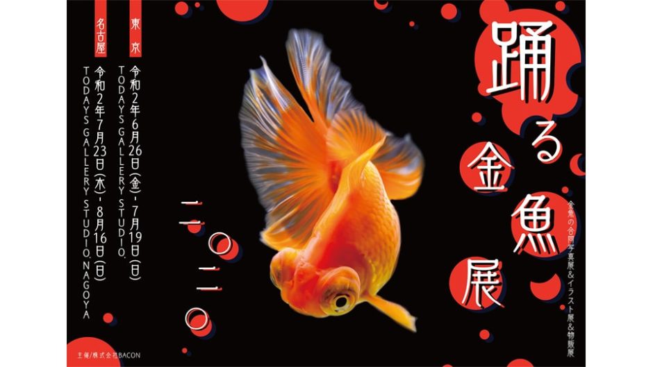 「踊る金魚展 2020 in 名古屋」で“癒し”と“涼”を感じよう♪