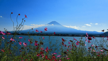 富士山が覗く絶景の釣り場「東山湖フィッシングエリア」