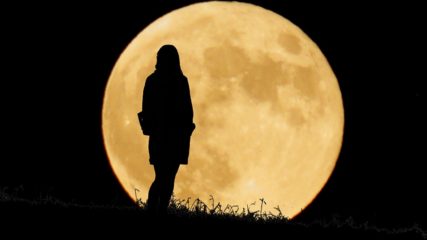 ここから眺める月は最高！海津市にある自然公園「月見の森」