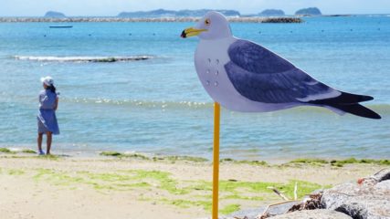 佐久島全体が会場に!「佐久島アート・ピクニック2020」でアート鑑賞しよう