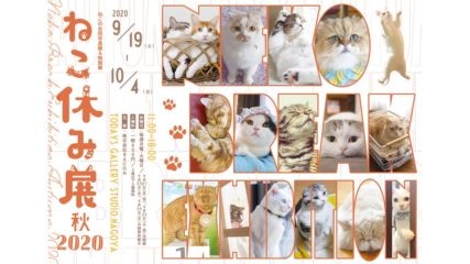 「ねこ休み展 秋 2020」が名古屋で開催!可愛い猫たちに癒されよう♡