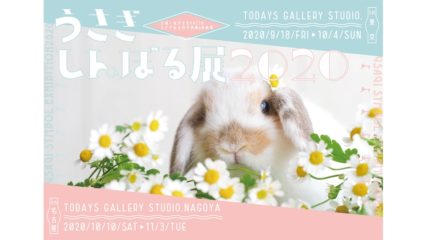 モフモフ可愛すぎる!『うさぎしんぼる展2020』が名古屋市で開催