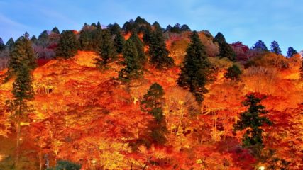 2020年 愛知の紅葉おすすめ&見頃情報!香嵐渓などをご紹介