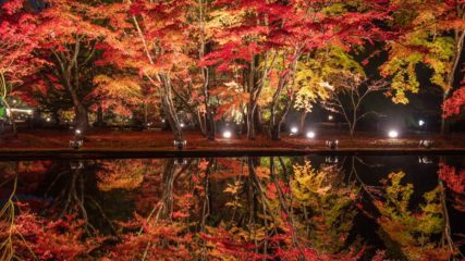 2020年 岐阜の紅葉人気スポット&見頃情報!せせらぎ街道などをご紹介
