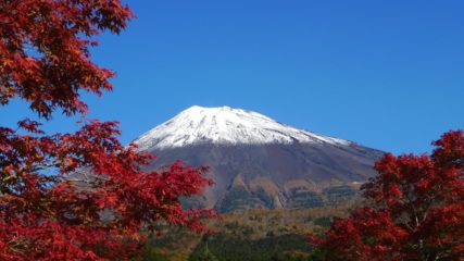 2020年 静岡の紅葉名所&見頃情報!寸又峡などをご紹介