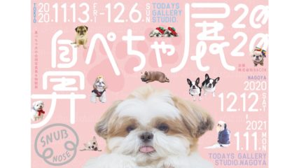 パグやシーズーなどが大集合!「鼻ぺちゃ展 in 名古屋」