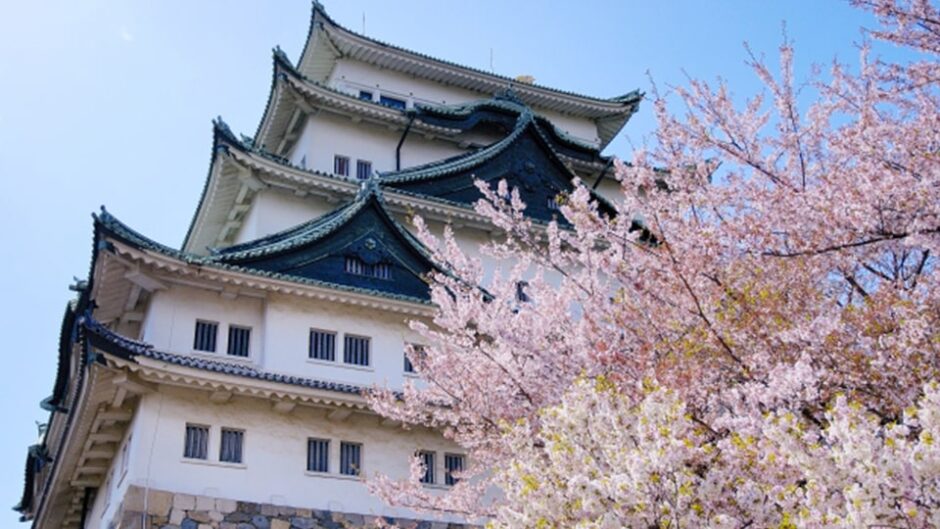「名古屋城春まつり」は桜まつりや金鯱座などイベント多数開催！