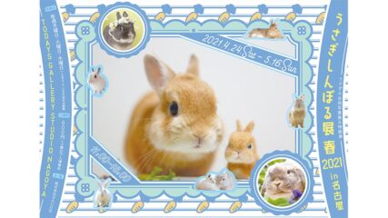 春の新作グッズが登場!「うさぎしんぼる展 春 2021」