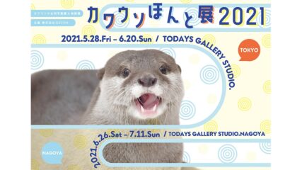 「カワウソほんと展 2021 in 名古屋」キュート&ワイルドな作品大集合