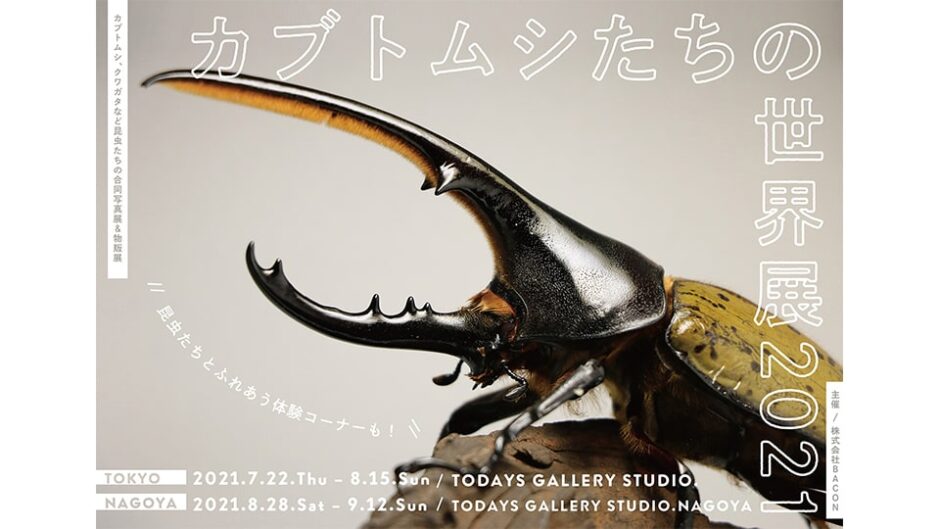 昆虫の写真展＆物販展「カブトムシたちの世界展 2021 in 名古屋」