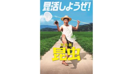 特別展「昆虫」名古屋市科学館で開催!昆虫標本がいっぱい!