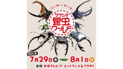 「ササシマ昆虫ワールド」で昆虫採集を体験!飼育キットもゲット