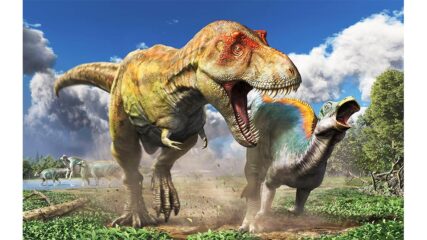 「ティラノサウルス展」名古屋市科学館で開催!リラックマとコラボも!