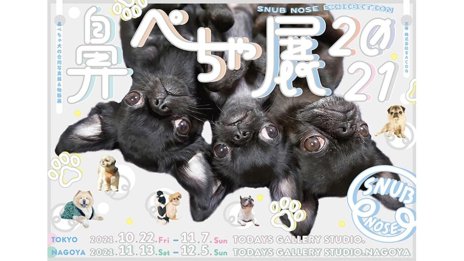 レア犬種も新登場！「鼻ぺちゃ展 2021 in 名古屋」