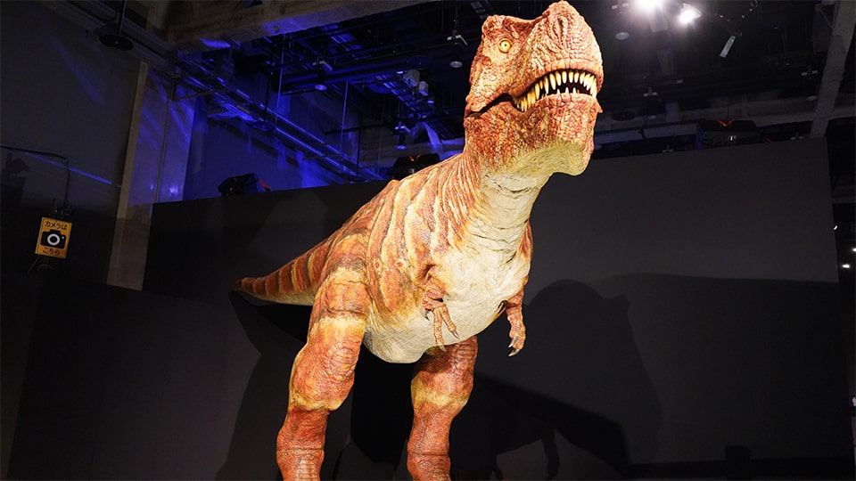 ティラノサウルス展 名古屋市科学館